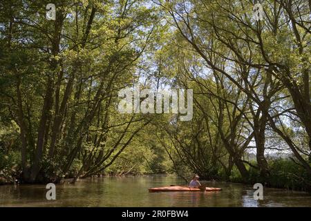 Kayaking on River Haune, Haunetal-Rhina, Rhoen, Hesse, Germany Stock Photo