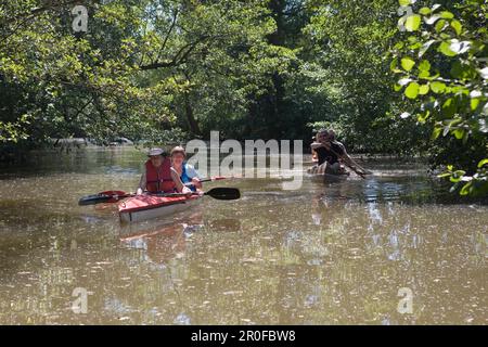 Canoe Paddlers on River Haune, Haunetal-Neukirchen, Rhoen, Hesse, Germany Stock Photo