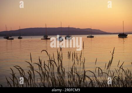 View of Lake Constance near Allensbach at sunset, Baden-Wurttemberg, Germany Stock Photo