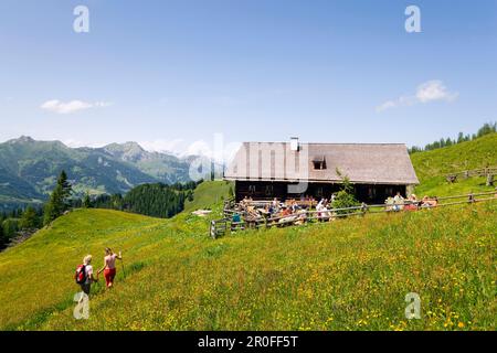 Hikers arriving at Bichlalm 1731 m, Grossarl Valley, Salzburg, Austria Stock Photo