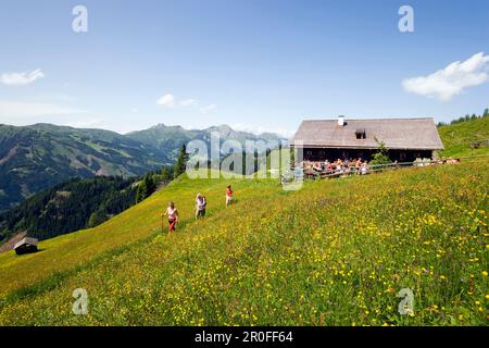 Hikers leaving Bichlalm 1731 m, Grossarl Valley, Salzburg, Austria Stock Photo