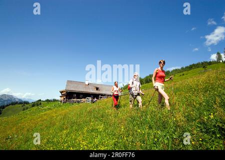 Hikers leaving Bichlalm 1731 m, Grossarl Valley, Salzburg, Austria Stock Photo