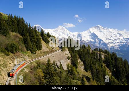 Schynige Platte Railway, Eiger (3970 m), Mönch (4107 m) and Jungfrau (4158 m) in background, Schynige Platte (1967 m), Interlaken, Bernese Oberland (h Stock Photo