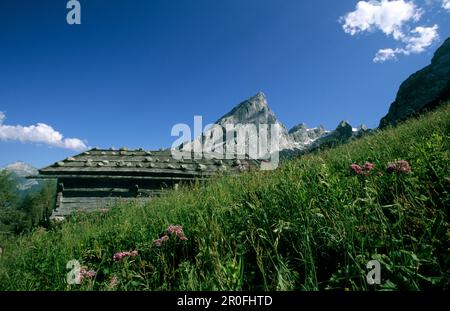 Alpine hut in front of Kleiner Watzmann and Watzmannkinder, Watzmann, Berchtesgaden Alps, Upper Bavaria, Bavaria, Germany Stock Photo