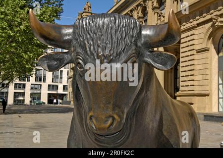 Sculpture of a bull outside Frankfurt Stock Exchange, symbol for upward trend, Frankfurt, Hesse, Germany Stock Photo