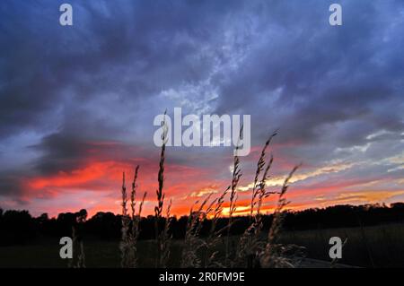 Rain clouds in sunset, Bavaria, Germany Stock Photo