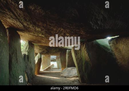 Dolmen, Megalithic tomb, La Roche aux Fees, Essé, Brittany, France Stock Photo
