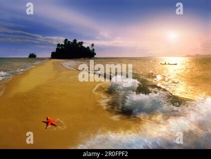 Starfish on the beach at sunset, Palawan Archipelago, Palawan Island, Visayas Islands, Philippines, Asia Stock Photo