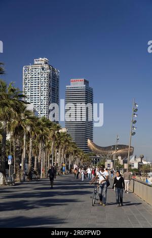 Barcelona,beach,Platja de la Barceloneta,Hotels Arts,Sculpture of,Frank Gehry Stock Photo