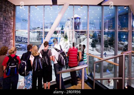 Dubai Mall of Emirates Ski dubai, Indoor skiing Stock Photo