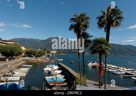 Switzerland, Ticino, Ascona Lago Maggiore little harbour for motor boats Stock Photo