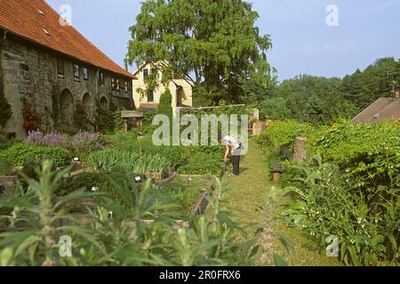 Monastery garden of Michaelstein monastery, Blankenburg, Saxony Anhalt, Germany Stock Photo