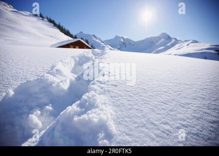 Lodge in snow, skiing region Sonnenkopf, Vorarlberg, Austria Stock Photo