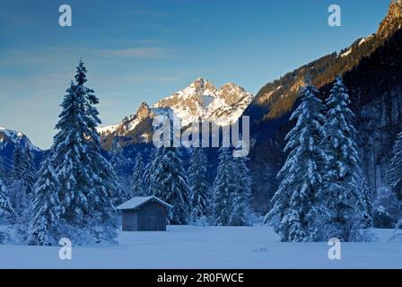 Snwo covered barn in swamp Weitmoos, mountain Klammspitze in background, Ammergau Alps, Bavaria, Germany Stock Photo
