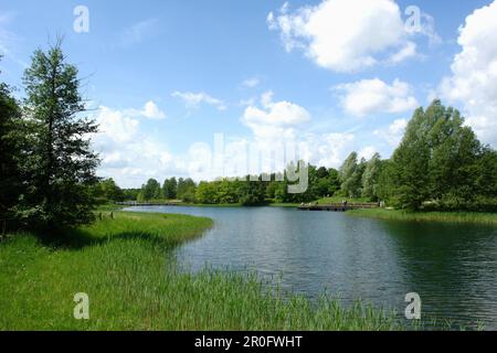 Lake in Britzer Garten, Berlin, Germany Stock Photo