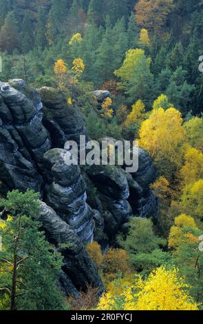 Felsenburg Neurathen (rock castle Neurathen), Saxon Switzerland, Elbe Sandstone Mountains, Saxony, Germany Stock Photo