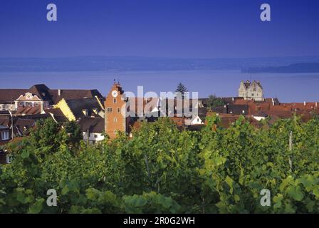 View over vines at roofs and towers of Meersburg, Meersburg, Lake Constance, Baden Wurttemberg, Germany Stock Photo