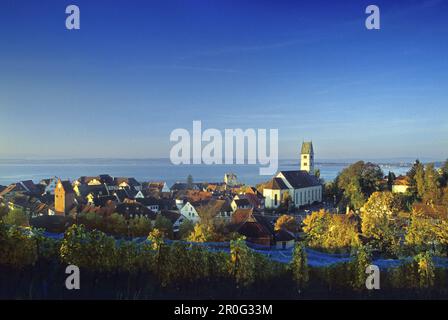 View over vines at the houses and church of Meersburg, Lake Constance, Baden Wurttemberg, GermanyView from the vineyards Stock Photo