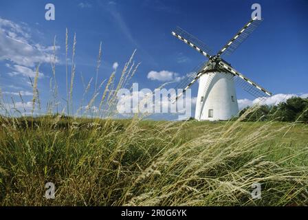 Engelsberg windmill, near Krefeld, Lower Rhine Region, North Rhine-Westphalia, Germany Stock Photo
