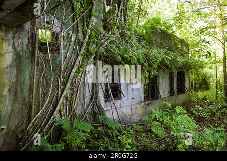 Japanese Headquarter at II World War, Peleliu Island, Micronesia, Palau Stock Photo