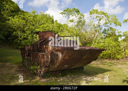 Japanese Amphibious Tank II World War, Peleliu Island, Micronesia, Palau Stock Photo