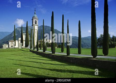 Alley of cypresses to the church Sant´Abbondio under blue sky, Ticino, Switzerland, Europe Stock Photo