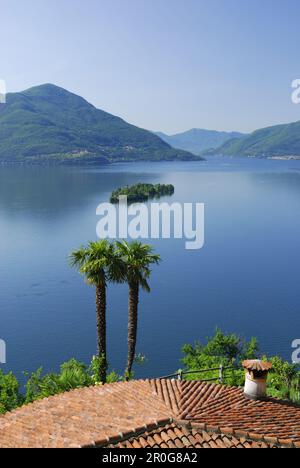 Palm trees and roof above lake Maggiore with isle of Brissago, Isole di Brissago, lake Maggiore, Lago Maggiore, Ticino, Switzerland Stock Photo