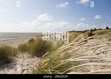 Beach of Utersum, Foehr island, Schleswig-Holstein, Germany Stock Photo