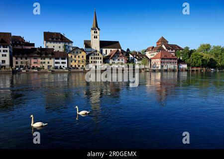 View at swans and riverine town, Diessenhofen, High Rhine, Canton Thurgau, Switzerland, Europe Stock Photo