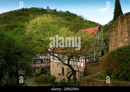 View over a lane with half-timbered houses towards Starkenburg castle, Heppenheim, Hessische Bergstrasse, Hesse, Germany Stock Photo