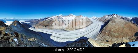 Panorama of glacier Grosser Aletschgletscher with Wallis Alps, Mont Blanc, Aletschhorn, Jungfrau, Moench, Eiger, Wannenhorn, Oberaarhorn, from Eggisho Stock Photo