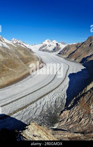 Glacier Grosser Aletschgletscher with Jungfrau, Moench and Eiger, Eggishorn, UNESCO World Heritage Site Swiss Alps Jungfrau - Aletsch, Bernese Alps, V Stock Photo