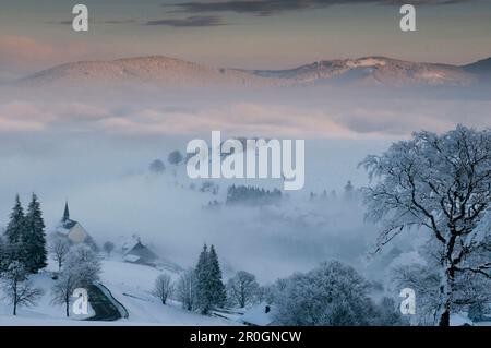 View over Hofsgrund in winter, mount Schauinsland, Freiburg im Breisgau, Black Forest, Baden-Wurttemberg, Germany Stock Photo