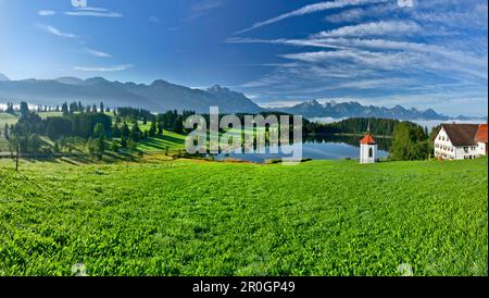 View from Hegratsried onto Tegelberg, Saeuling and Tannheimer mountains, East Allgaeu, Germany, Europe Stock Photo