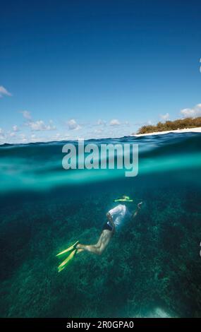 Diver in front of Wilson Island, part of the Capricornia Cays National Park, Great Barrier Reef Marine Park, UNESCO World Heritage Site, Queensland, A Stock Photo