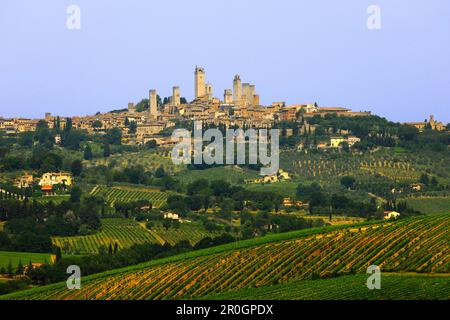 View over vineyards to San Gimignano, Tuscany, Italy Stock Photo