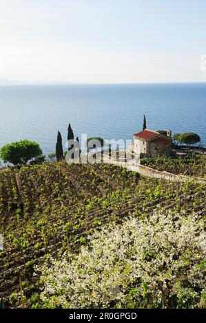 Manor at Mediterranean coast, near Pomonte, Elba Island, Tuscany, Italy Stock Photo
