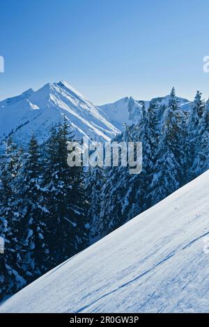 Snowy mountains in the sunlight, Gasteiner valley, Dorfgastein, Laderdinger Gamskarspitz, Salzburg, Austria, Europe Stock Photo