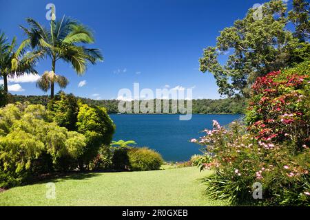 Lake Barrine, Crater Lakes National Park, Atherton Tablelands, Queensland, Australia Stock Photo