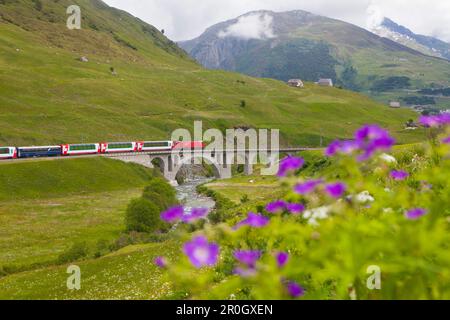 Glacier Express crossing the Richleren bridge and river Furkareuss in Urserental near Andermatt, Uri, Switzerland Stock Photo