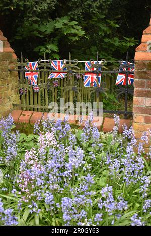 Bluebells and bunting in Bletchley for the Coronation. Stock Photo
