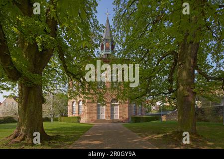 View of protestant church behind trees, Bischmisheim, Saarland, Germany, Europe Stock Photo