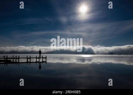 Man looking over Lake Starnberg, Roseninsel in morning mist, Upper Bavaria, Germany Stock Photo