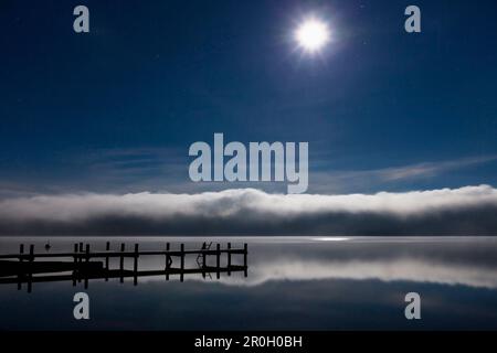 Moon over Lake Starnberg, pier and fog at dawn, Upper Bavaria, Germany Stock Photo