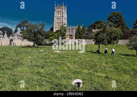 View over pasture onto St. James church, Chipping Camden, Gloucestershire, Cotswolds, England, Great Britain, Europe Stock Photo