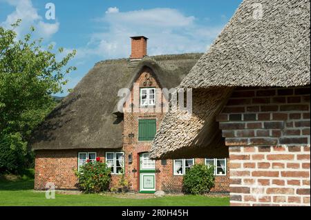 Nebel, traditional frisian house, Amrum island, North Sea, Schleswig ...