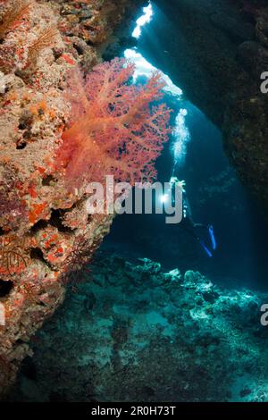 Scuba Diver inside Cave, Cave Reef, Red Sea, Egypt Stock Photo