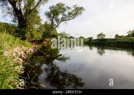 Scenery at river Mulde, Grimma, Saxony, Germany Stock Photo