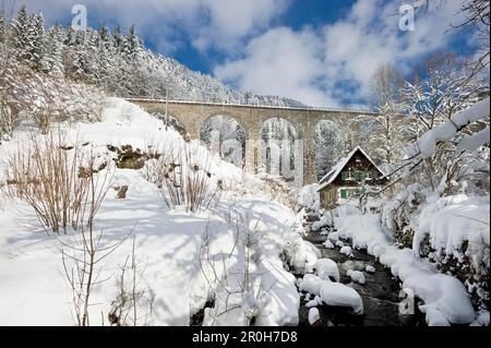 Railway bridge crossing the Ravenna Gorge, near Freiburg im Breisgau, Black Forest, Baden-Wuerttemberg, Germany Stock Photo