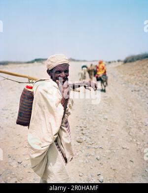 ERITREA, Foro, A Bedouin herder follows his livestock down a dirt road Stock Photo